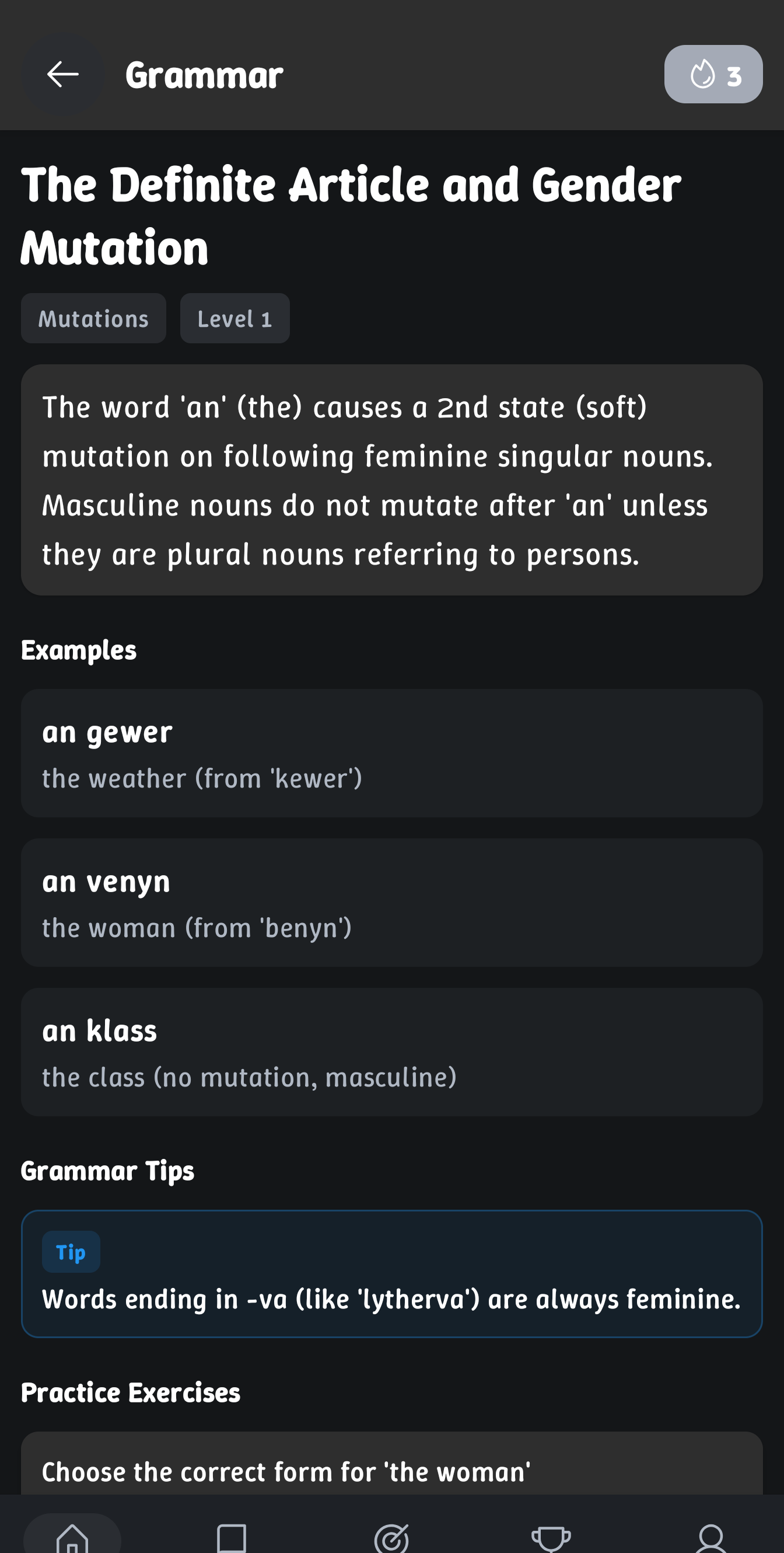 Grammar rule detail page with examples and a practice exercise